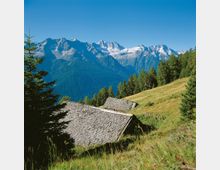 Pendio alpino erboso con bosco di conifere e due baite dai tetti in scandole di legno in primo piano. Sullo sfondo si vede una catena montuosa con cime rocciose e ghiacciai sotto un cielo azzurro limpido.