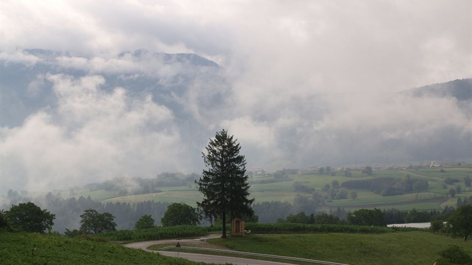 Paesaggio rurale collinare con campi verdi e una strada asfaltata che curva in primo piano. Un alto albero isolato vicino a una piccola edicola votiva, con vallate e montagne sullo sfondo parzialmente avvolte da nebbia e nuvole basse.