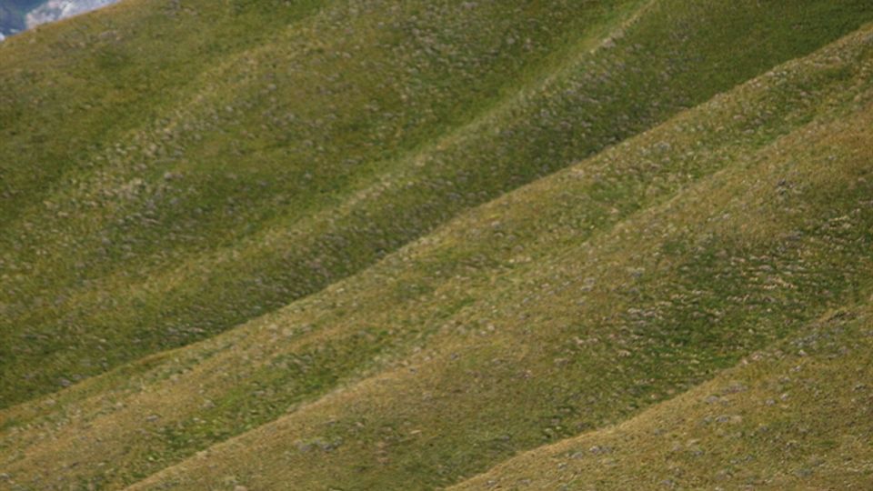 Pendii erbosi ondulati di montagna con un sentiero sterrato e una piccola baita in legno sul lato destro. Sullo sfondo si vedono alte cime rocciose grigie sotto un cielo parzialmente nuvoloso.