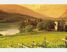 Paesaggio rurale con vigneti in primo piano che degradano verso un lago, con un edificio storico in pietra e alberi sulla riva. Sullo sfondo si vedono colline boscose e montagne sotto un cielo velato.