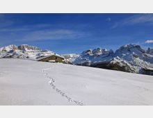 Baita di montagna in pietra su un ampio pendio innevato, con una traccia di passi che attraversa la neve in primo piano. Sullo sfondo si vedono cime alpine rocciose e innevate sotto un cielo azzurro limpido.