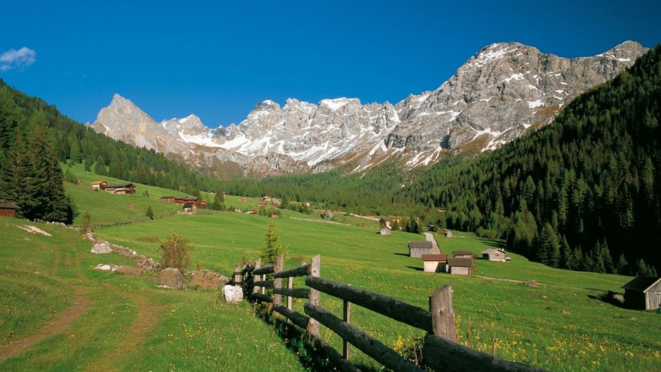 Valle alpina con prati verdi e fioriti, recinzione in legno in primo piano e alcune baite sparse sui pendii. Sullo sfondo si vedono un fitto bosco di conifere e alte cime rocciose parzialmente innevate sotto un cielo limpido.