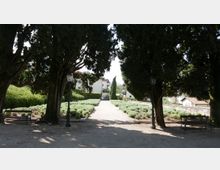 Viale pedonale in un giardino pubblico, fiancheggiato da aiuole basse e incorniciato da grandi alberi che formano un passaggio ombreggiato. Lungo il percorso si vedono panchine e lampioni, con edifici residenziali sullo sfondo.