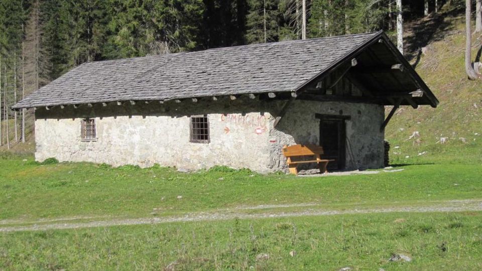 Baita rurale in pietra con tetto a due falde in scandole, piccole finestre e portico laterale. È situata in un prato ai margini di un bosco di conifere su un pendio montano, con un sentiero che passa davanti.