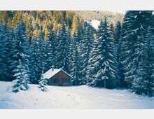 Piccola baita di legno con tetto innevato in una radura coperta di neve, circondata da alti abeti carichi di neve. Sullo sfondo si vedono pendii montani boscosi illuminati dalla luce invernale.