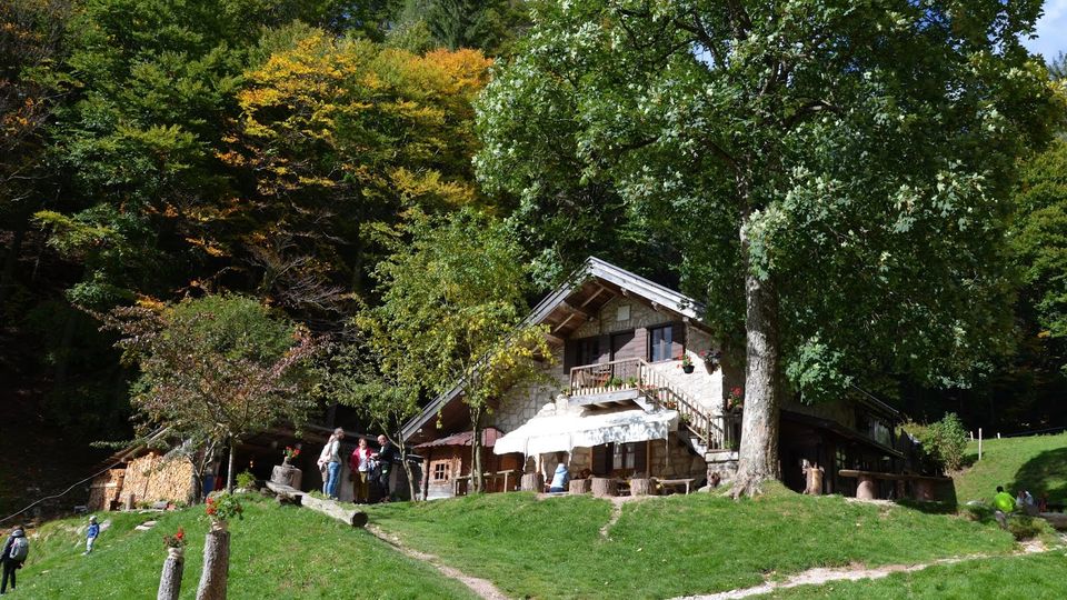 Baita di montagna in pietra e legno con tetto spiovente e balcone, situata su un prato in pendenza con sentiero e area coperta da un tendone. Intorno ci sono alti alberi e bosco fitto sullo sfondo, con una catasta di legna vicino alla costruzione.
